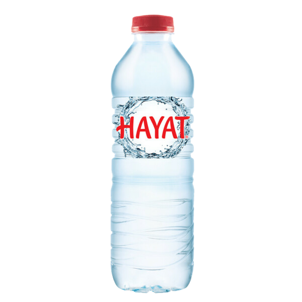 HAYAT 0.5LT PETSU PAKET 12'Lİ