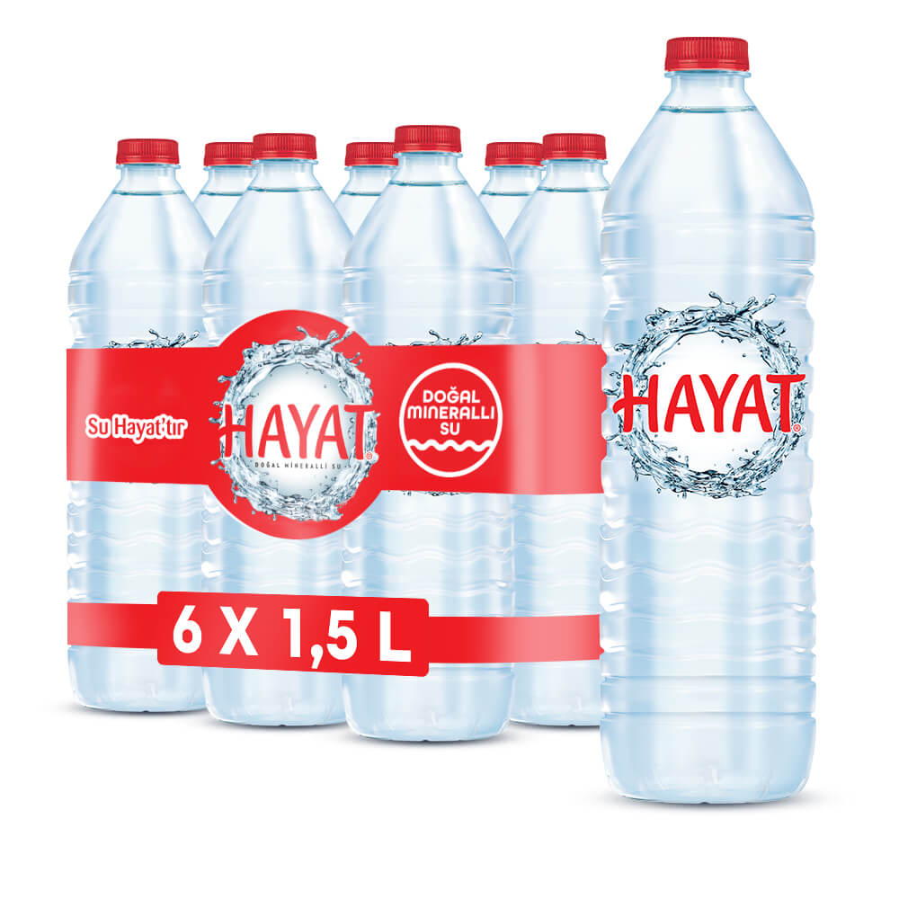 HAYAT 1,5 PETSU PAKET 6'LI